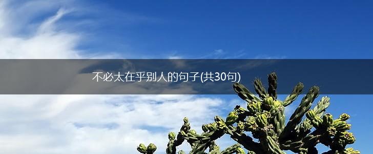 不必太在乎别人的句子(共30句),第1张