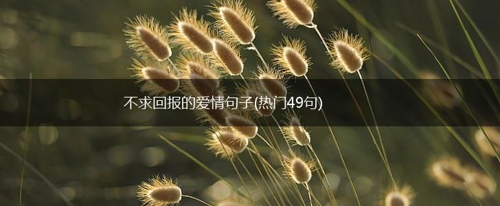 不求回报的爱情句子(热门49句),第1张