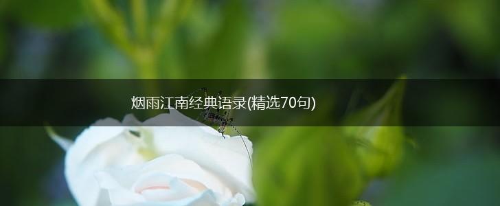 烟雨江南经典语录(精选70句),第1张