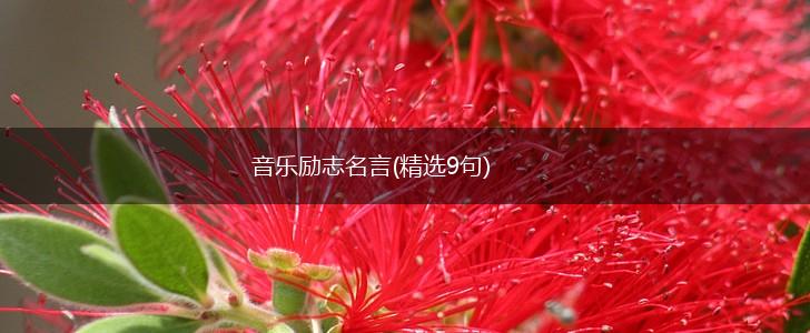 音乐励志名言(精选9句),第1张