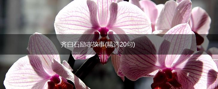 齐白石励志故事(精选20句),第1张