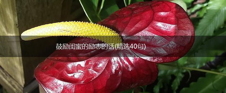 鼓励闺蜜的励志的话(精选40句),第1张