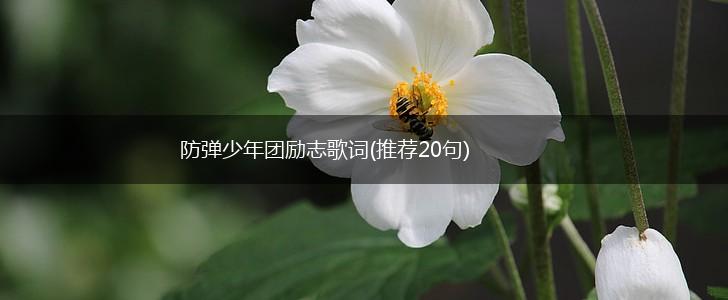 防弹少年团励志歌词(推荐20句),第1张