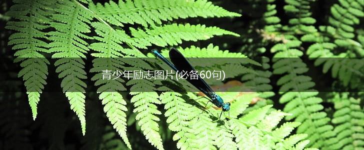 青少年励志图片(必备60句),第1张