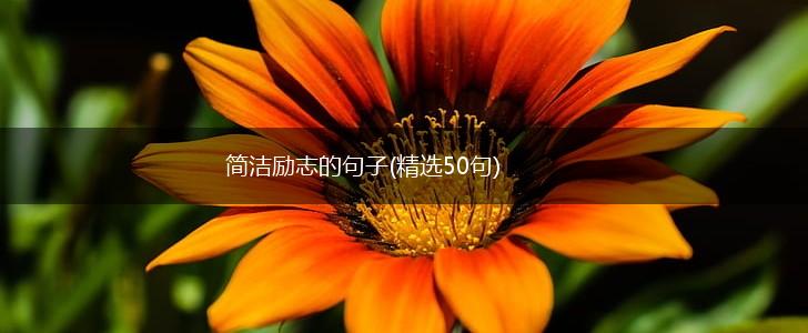 简洁励志的句子(精选50句),第1张 简洁励志的句子(精选50句),第1张