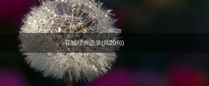 花城经典语录(共20句),第1张