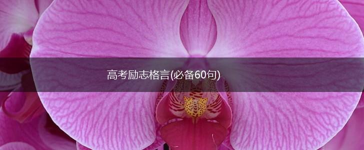 高考励志格言(必备60句),第1张