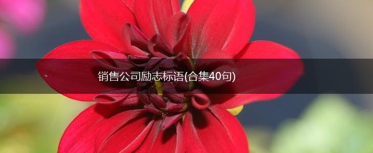销售公司励志标语(合集40句),第1张