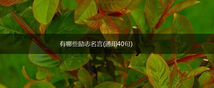 有哪些励志名言(通用40句),第1张