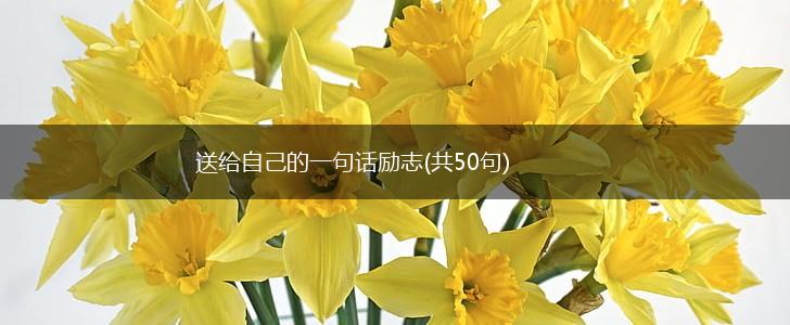 送给自己的一句话励志(共50句),第1张