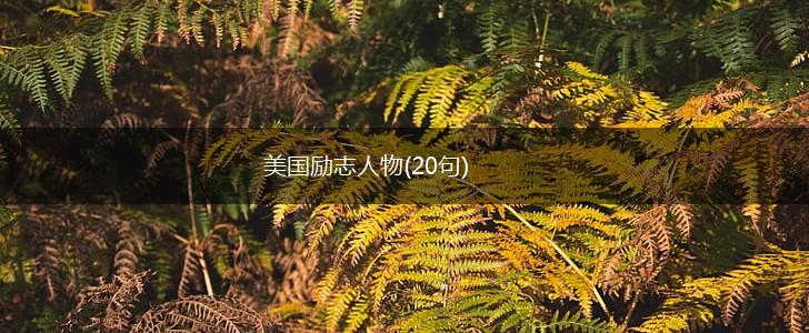 美国励志人物(20句),第1张 美国励志人物(20句),第1张