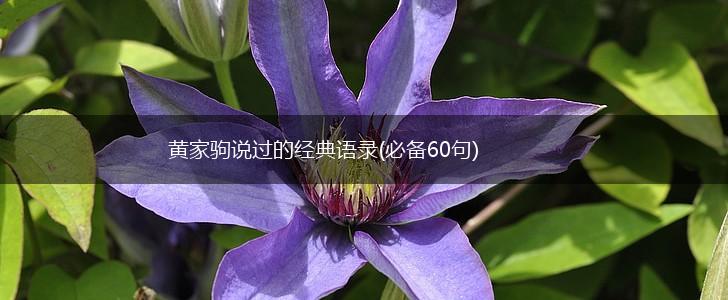 黄家驹说过的经典语录(必备60句),第1张