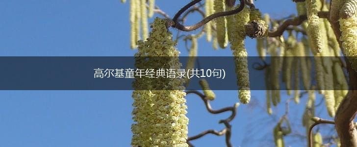 高尔基童年经典语录(共10句),第1张