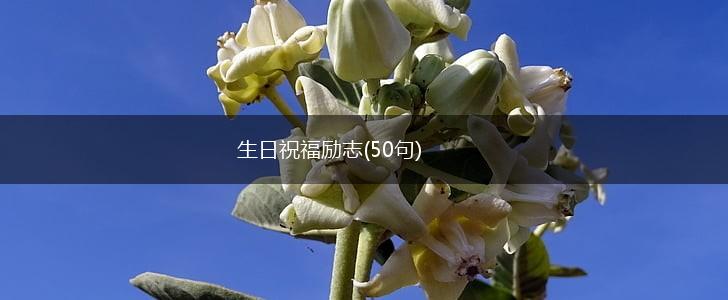 生日祝福励志(50句),第1张