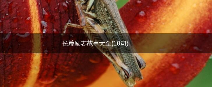 长篇励志故事大全(10句),第1张