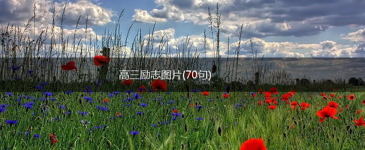 高三励志图片(70句),第1张