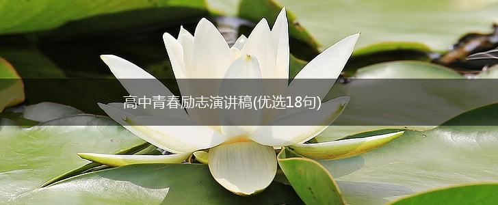 高中青春励志演讲稿(优选18句),第1张