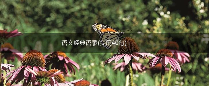 语文经典语录(实用40句),第1张 语文经典语录(实用40句),第1张