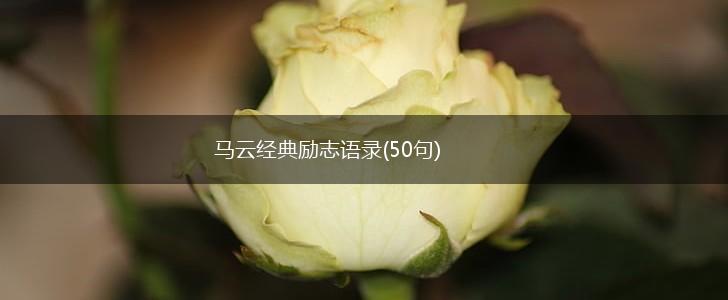 马云经典励志语录(50句),第1张