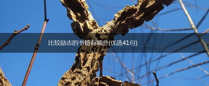 比较励志的书籍有哪些(优选41句),第1张