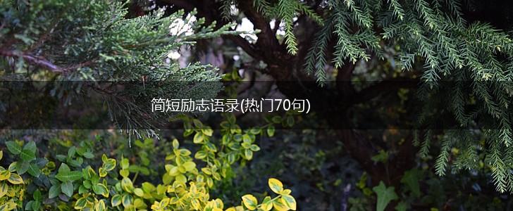 简短励志语录(热门70句),第1张 简短励志语录(热门70句),第1张