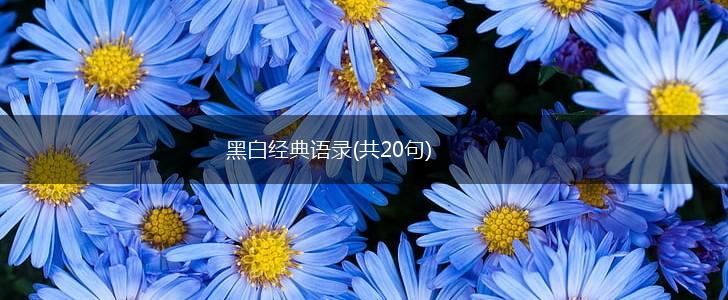 黑白经典语录(共20句),第1张