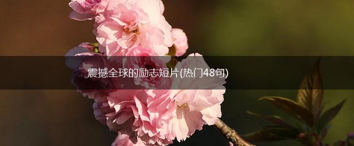 震撼全球的励志短片(热门48句),第1张