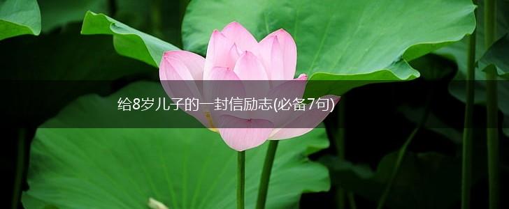 给8岁儿子的一封信励志(必备7句),第1张 给8岁儿子的一封信励志(必备7句),第1张