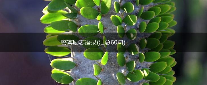 警察励志语录(汇总60句),第1张