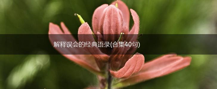 解释误会的经典语录(合集40句),第1张