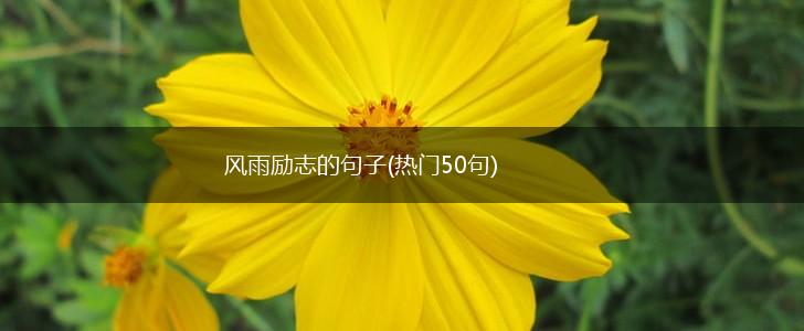 风雨励志的句子(热门50句),第1张