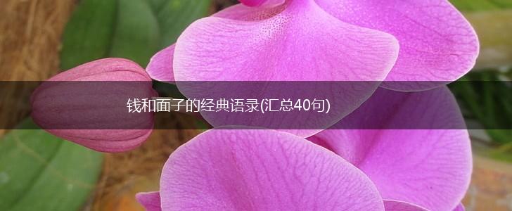 钱和面子的经典语录(汇总40句),第1张
