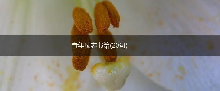 青年励志书籍(20句),第1张