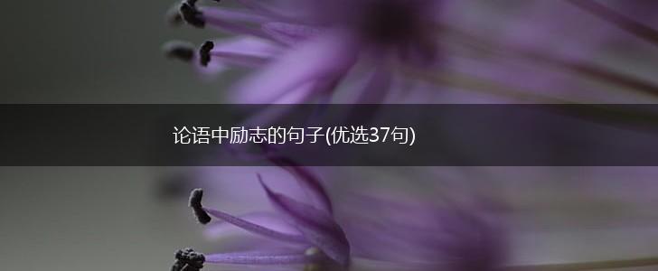 论语中励志的句子(优选37句),第1张
