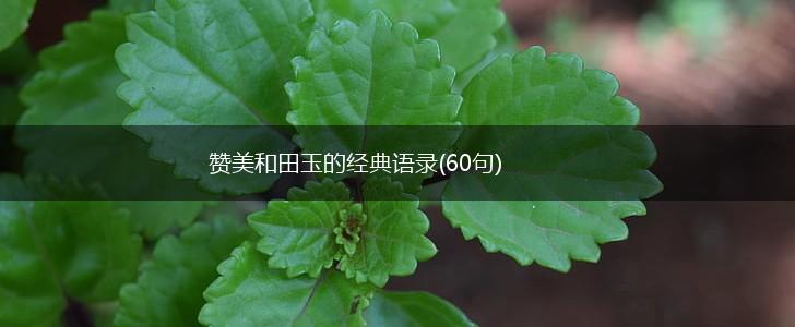 赞美和田玉的经典语录(60句),第1张