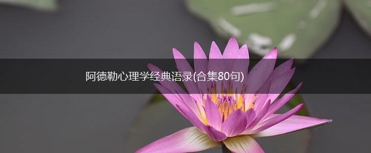 阿德勒心理学经典语录(合集80句),第1张
