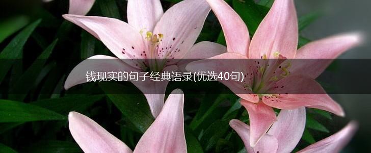 钱现实的句子经典语录(优选40句),第1张