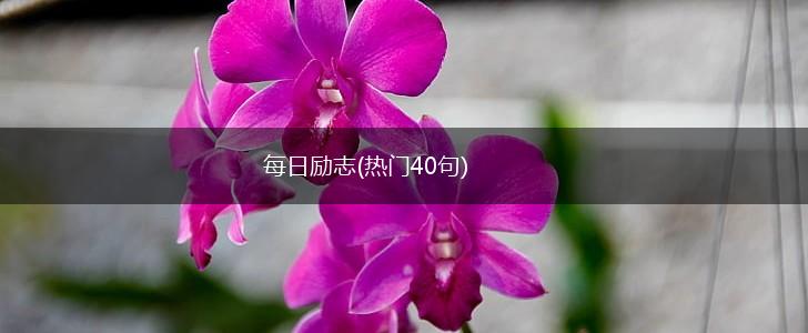 每日励志(热门40句),第1张