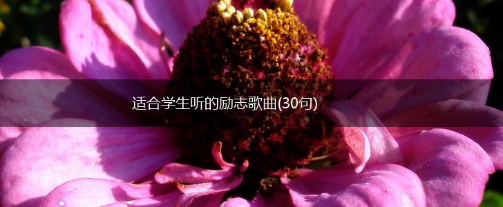 适合学生听的励志歌曲(30句),第1张