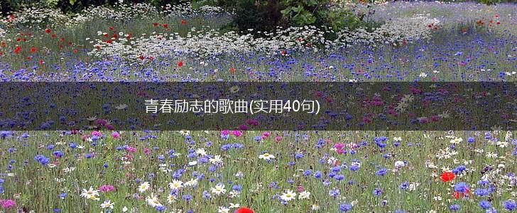 青春励志的歌曲(实用40句),第1张
