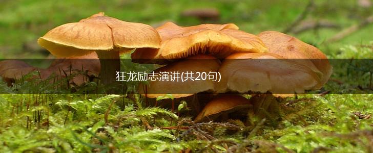 狂龙励志演讲(共20句),第1张