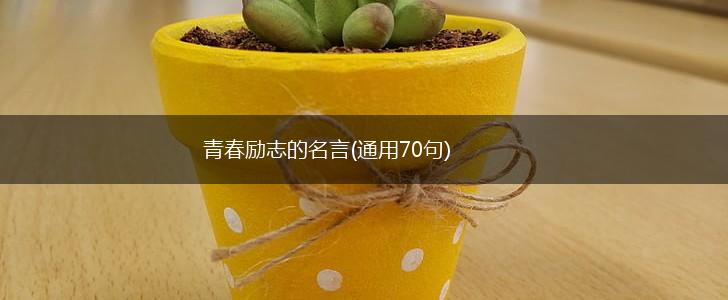 青春励志的名言(通用70句),第1张