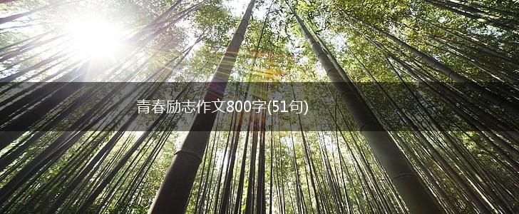 青春励志作文800字(51句),第1张