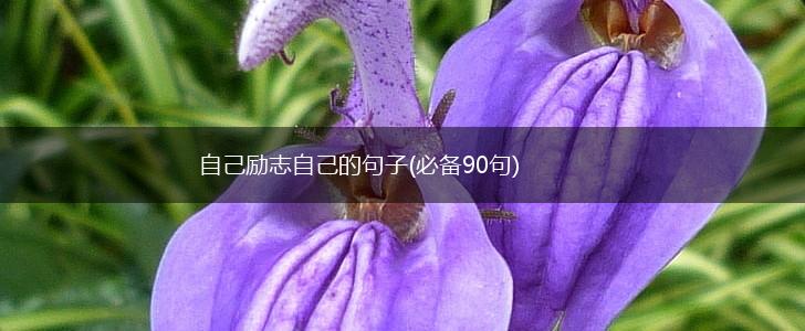 自己励志自己的句子(必备90句),第1张