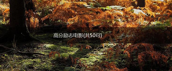 高分励志电影(共50句),第1张