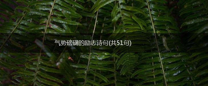 气势磅礴的励志诗句(共51句),第1张