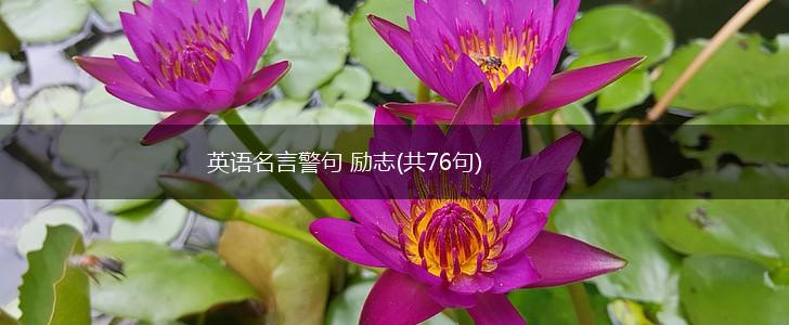 英语名言警句 励志(共76句),第1张
