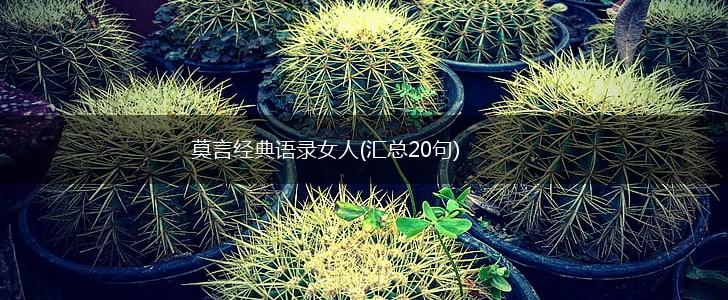 莫言经典语录女人(汇总20句),第1张