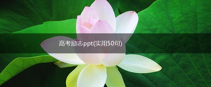 高考励志ppt(实用50句),第1张