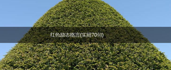 红色励志格言(实用70句),第1张 红色励志格言(实用70句),第1张